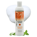 Netwurks Hair & Scalp Revitalizing Shampoo 8 fl. oz. - Netwurks